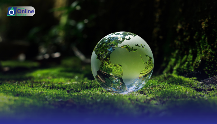 Lesson 03: Ecosystem Interrelationships